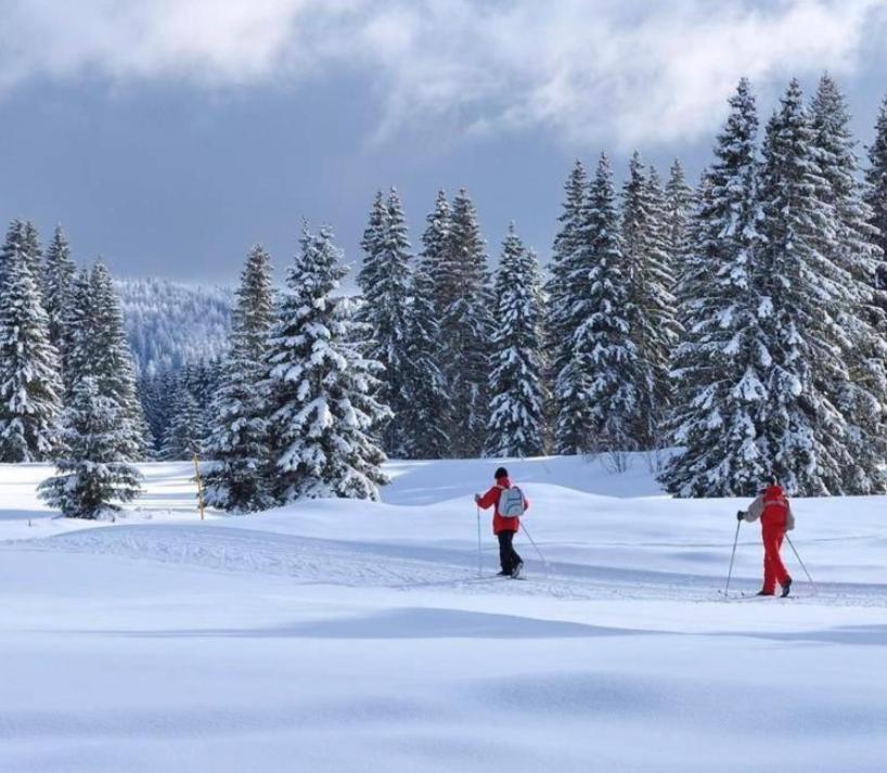 Gite Au Coeur Du Jura Entre Comte Et Vin Jaune, Gite Vin Jaune Chamole Екстериор снимка